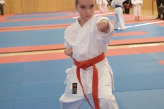 Karate7