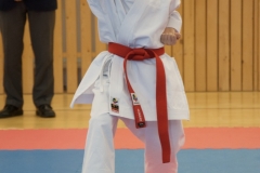 Karate8