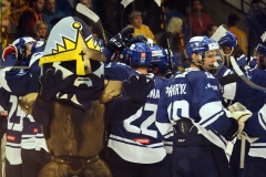 Rytíři Kladno - HC Dukla Jihlava (foto: Jan Hoffman SPORTTIME)